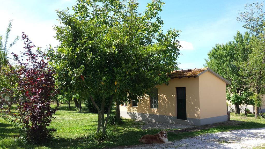 Vila Agriturismo Podere La Cascata Massa Marittima Exteriér fotografie